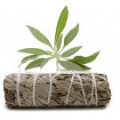 Hvit salvie smudge stick thumbnail