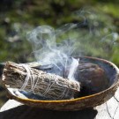 Hvit salvie smudge stick thumbnail