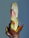 Chestnut Bud (Hestekastanje - knopp) blomstermedisin thumbnail