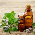 10ml Peppermynte (Mentha piperita) fra India thumbnail