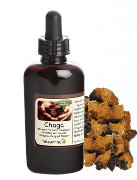 Chaga ekstrakt 60ml
