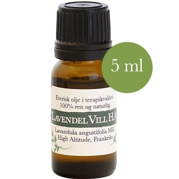 5ml Lavendel vill HA (Lavandula ang.) fra Frankrike