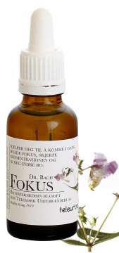 Fokus essens, 30 ml