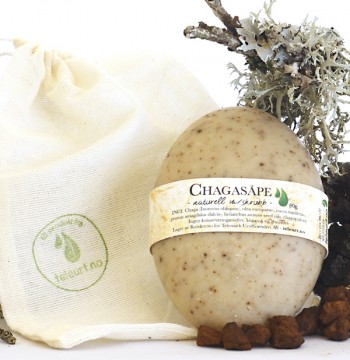 Chaga såpestykke