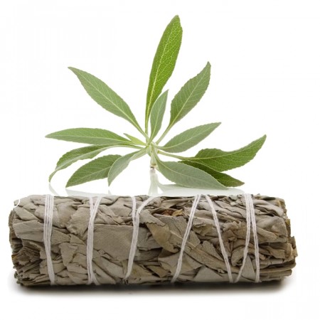 Hvit salvie smudge stick