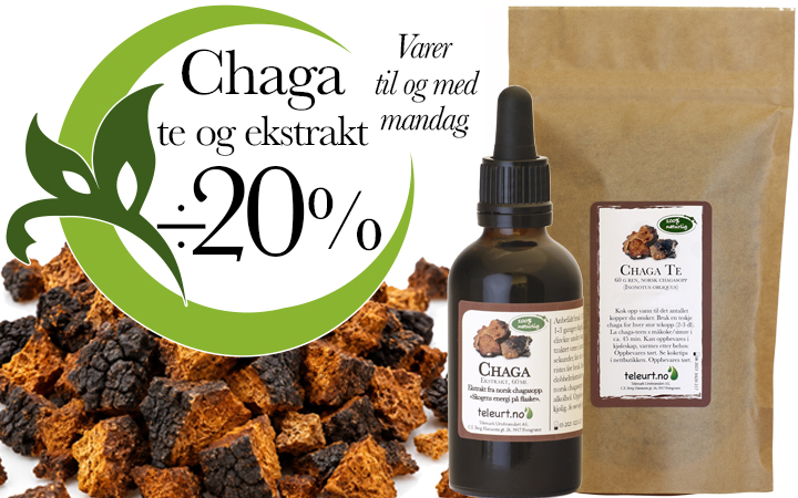 Chaga tilbud
