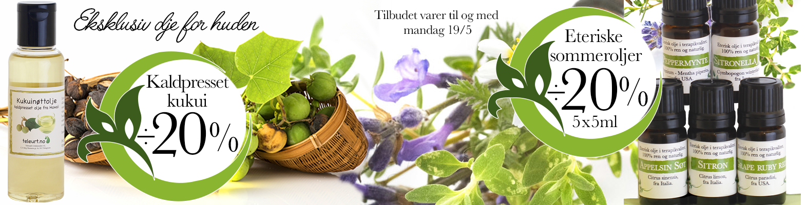 Kukui og sommeroljer