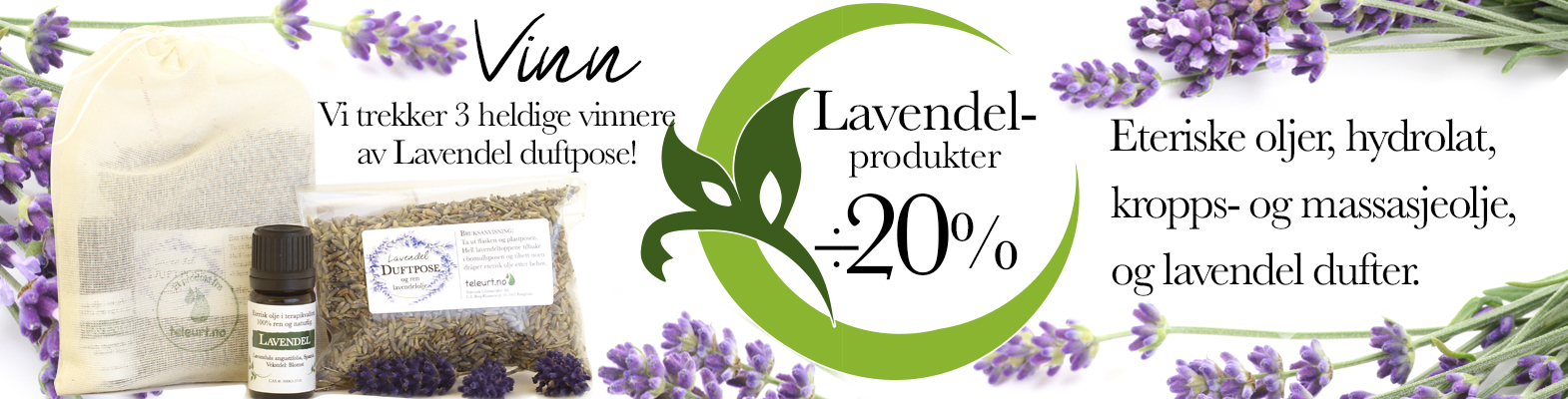 Lavendel
