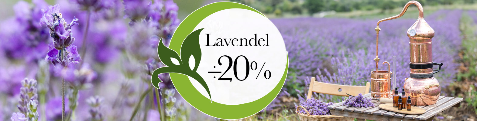 Lavendel