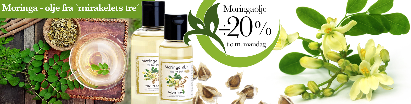 Moringa